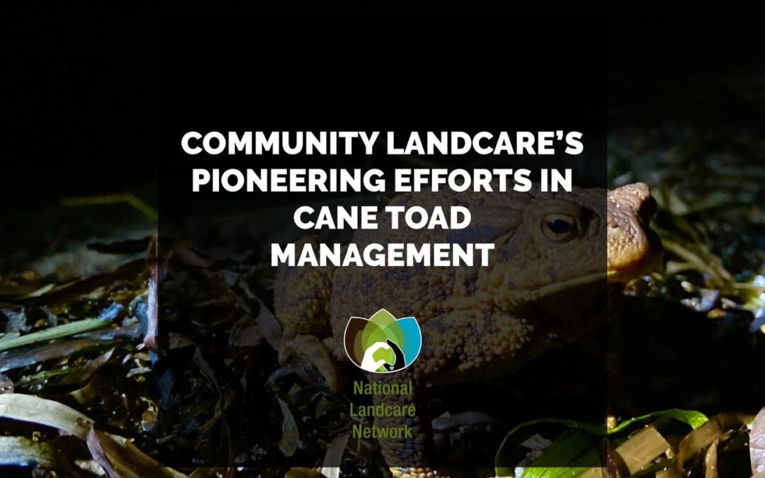 Community Landcare’s Pioneering Efforts in Cane Toad Management