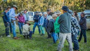 Biodiversity-Training-&-Mentoring-on-Rummery's-Hill-4J6A1889---become-a-member