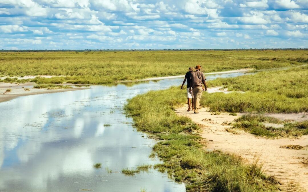 NLN Welcomes $2 Million Funding for Strengthen Landcare – Deliver Nature Repair Program