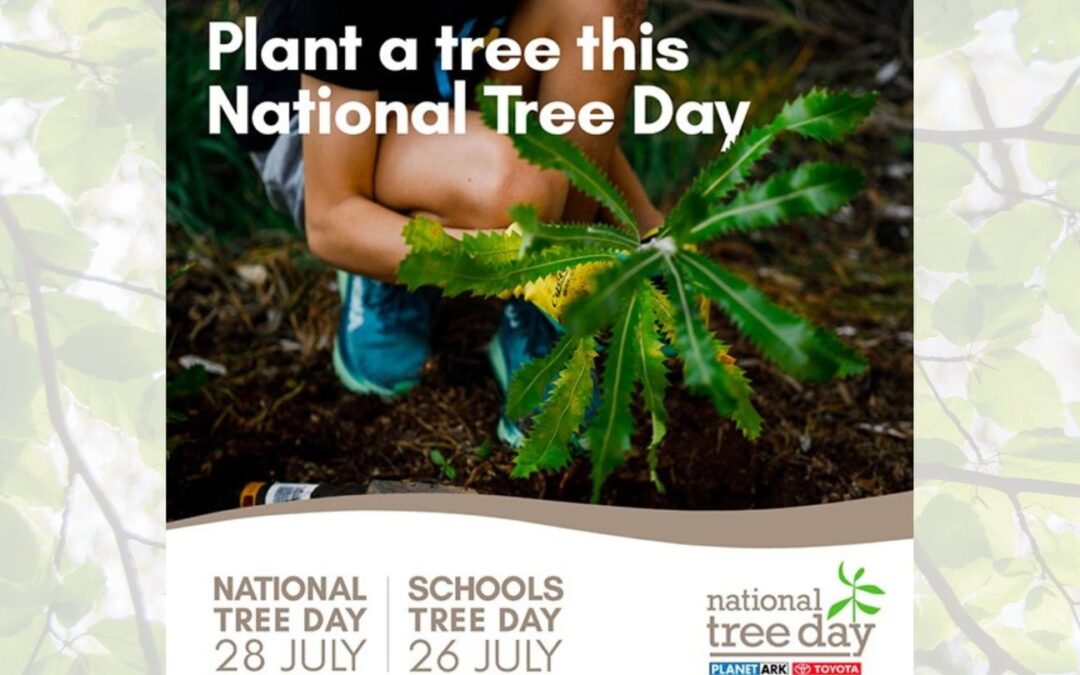 Get Involved with National Tree Day!