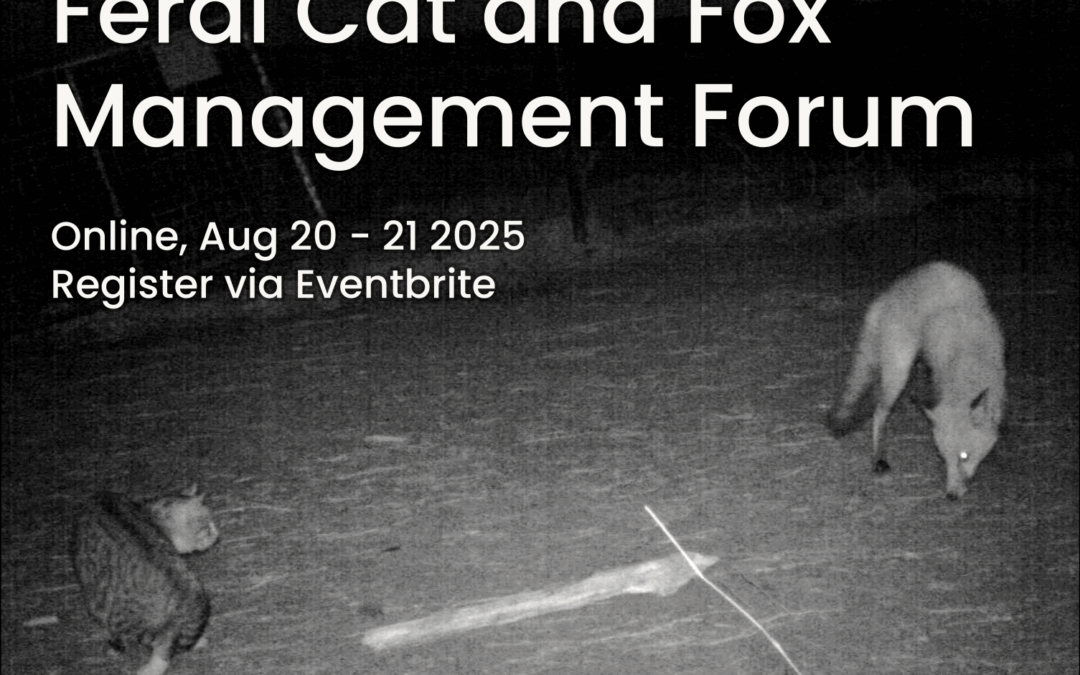 Free Online Feral Cat and Fox Management Forum