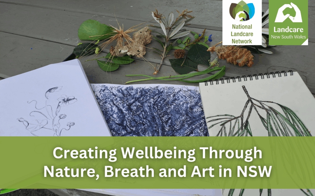 Creating Wellbeing Through Nature, Breath and Art in NSW