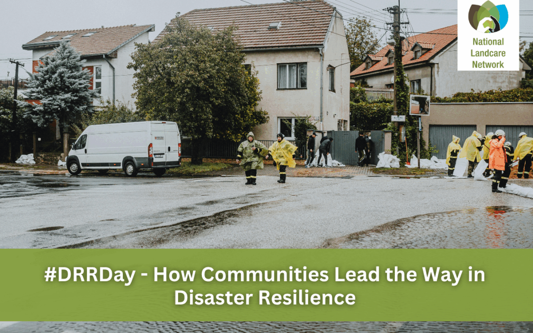 People in a flood zone