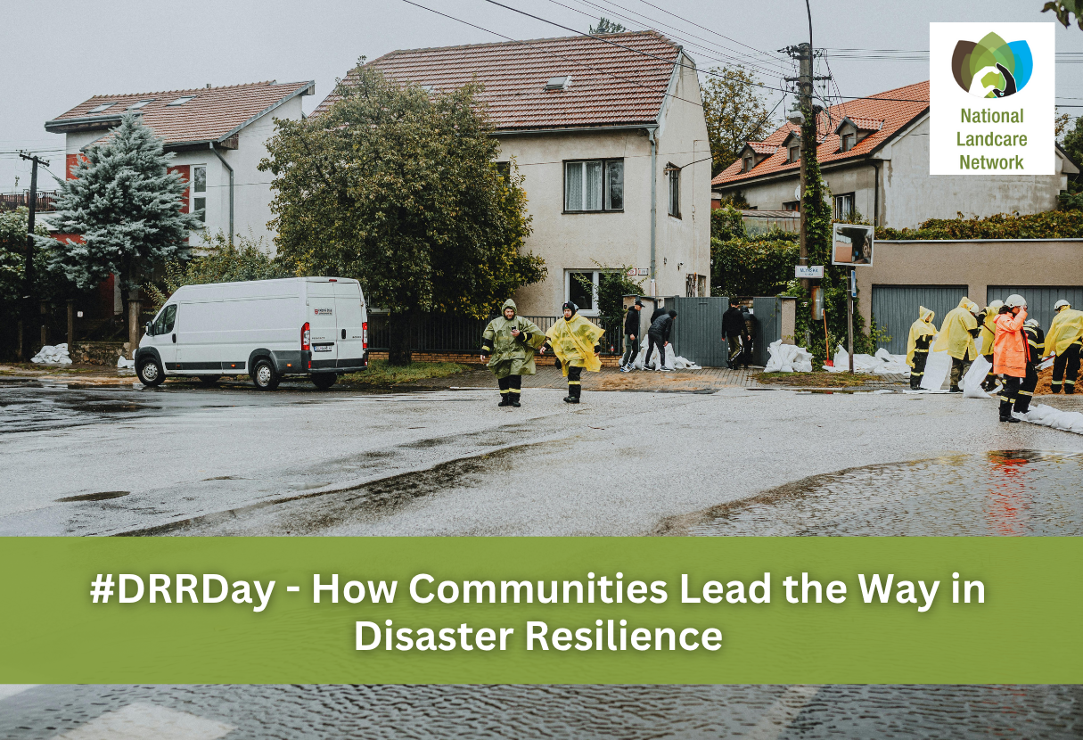 People in a flood zone