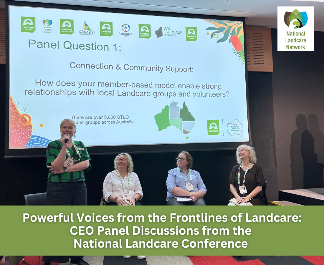 NLN STLO Panel Discussion Recordings Available