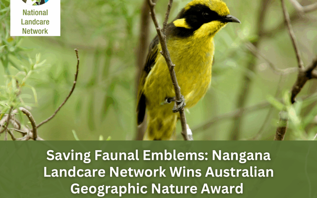 Nangana Landcare Network Wins Australian Geographic Nature Award for Saving Faunal Emblems
