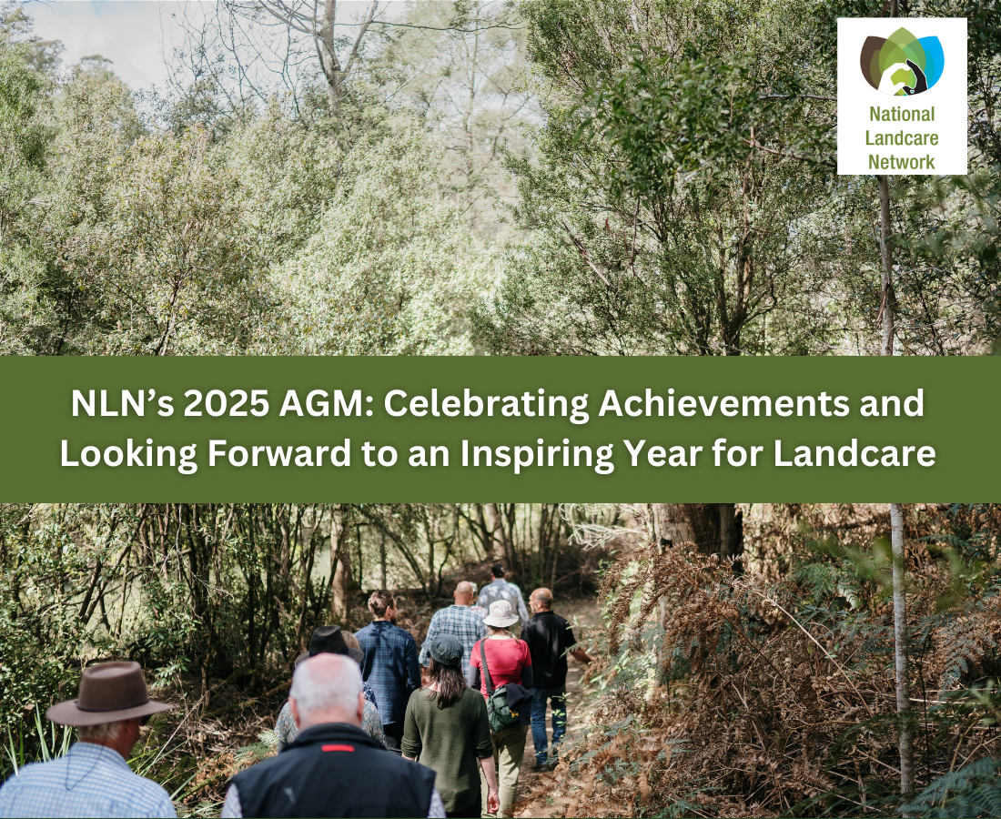 Blog stories (15) People walking through the forest