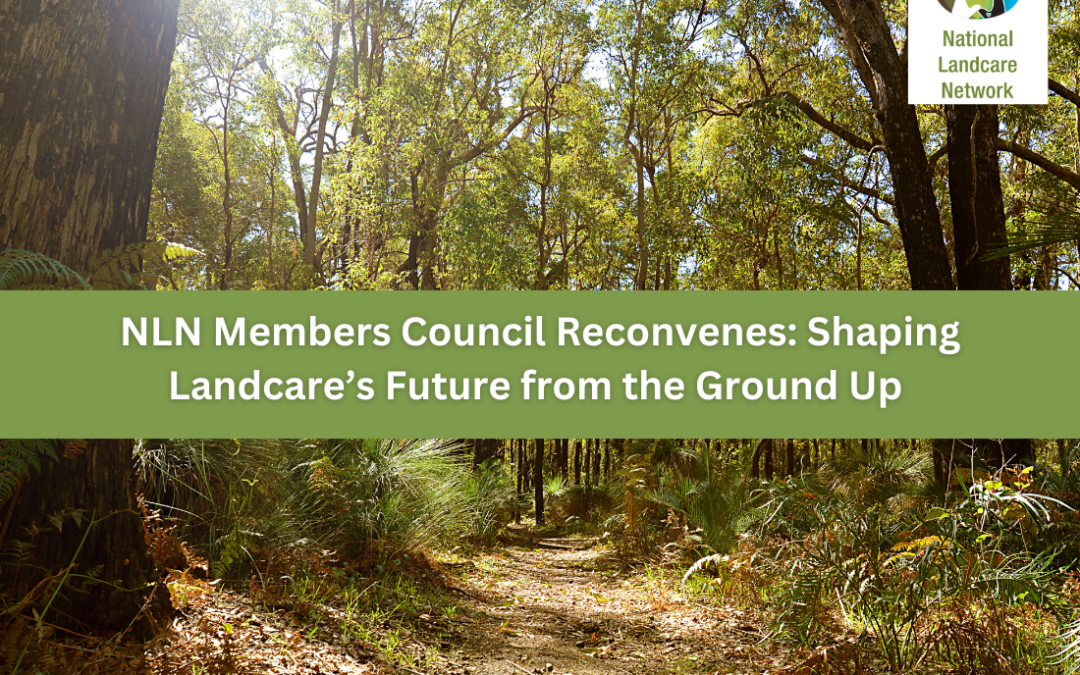 NLN Members Council Reconvenes: Shaping Landcare’s Future from the Ground Up