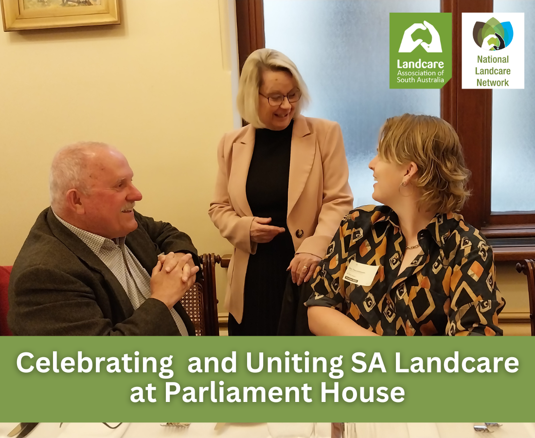 Parliamentary Friends of Landcare SA members talking at dinner