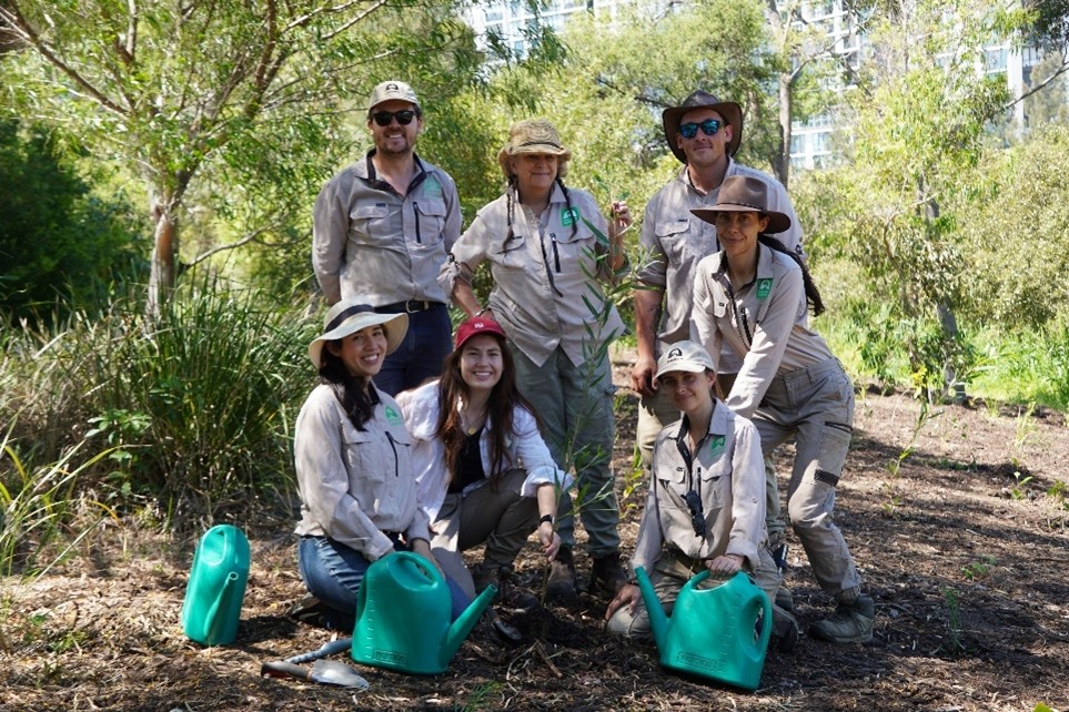 Canopies project march 26